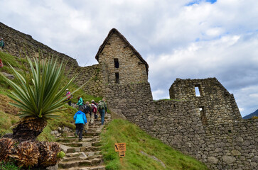 Macchu Picchu archaeological site, Peru - 493995331