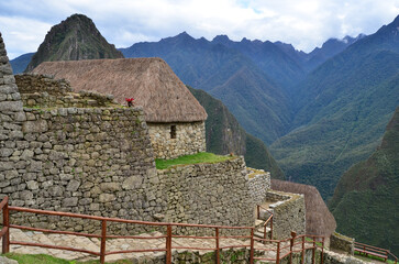 Macchu Picchu archaeological site, Peru - 493995334