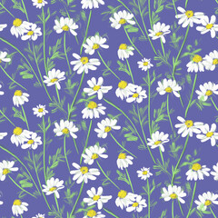 Seamless pattern with wild flowers field daisies
