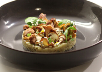 Pilzrisotto
