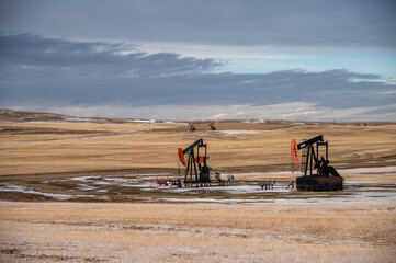 Pump jacks working in the oilfields of Alberta