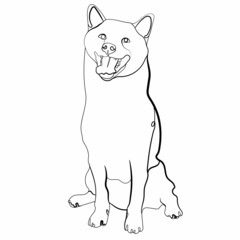 Vector illustration of a single line minimal style thirteenth dog. Portrait