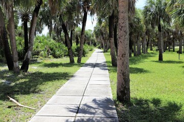 path in the park