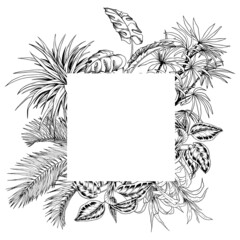 Tropical palm leaves card template. Black and white hand drawn vector illustration.