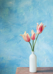 tulips in vase on blue background