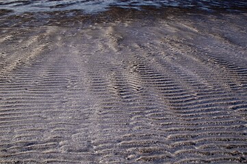 Windtracks on beach