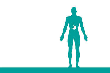 sagoma, organi corpo umano, medicina