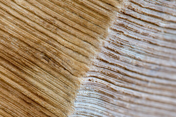 Abstract background from aged pages of an ancient book.
