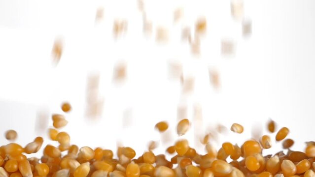 corn kernels fall in slow motion and cover the whole screen, vertical video
