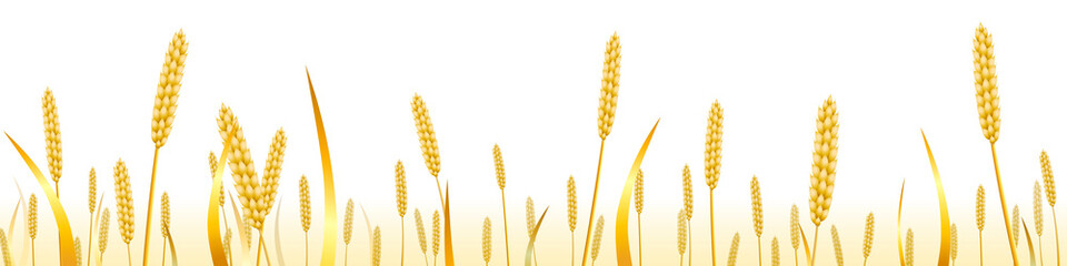 Paysage avec un champ de blé 