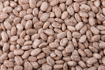 Organic fresh white beans, horizontal view background