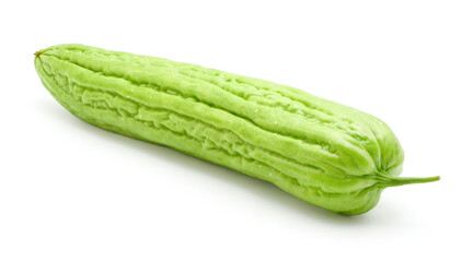 Fresh green bitter cucumber or chinese bitter gourd with droplets of water isolated on white background.