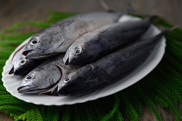 Freshly caught fish, young tuna on white ceramic plate, horizontal view