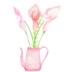 Watercolor set clipart calla lilies hand drawn