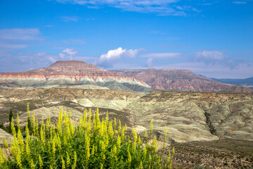 Colorful mountain landscape, Nallihan bird paradise	