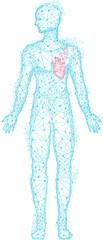 Polygonal human body with anatomical heart. Treatment of diseases, heartache, heart attack diagnostics. Medical research of internal organ, innovative approach. Organ of human cardiovascular system