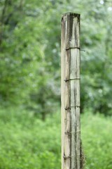 Fence Post