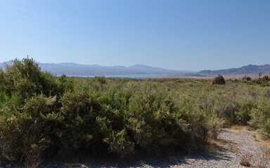 desert at Lake Mead National Recreation area near Las Vegas (Nevada, USA)