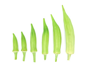 Pile of fresh okra green roselles isolated on white background.