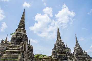 Fototapeta premium Old Temple in Ayuthaya Historical Park of Thailand