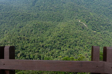 View of the rainforest below from the observation deck