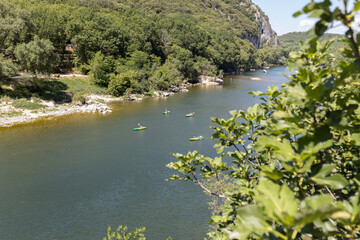 the river in the forest