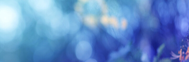 Light blue Leaf background. Blurred leaves and circular bokeh. Abstract for design and wallpaper.