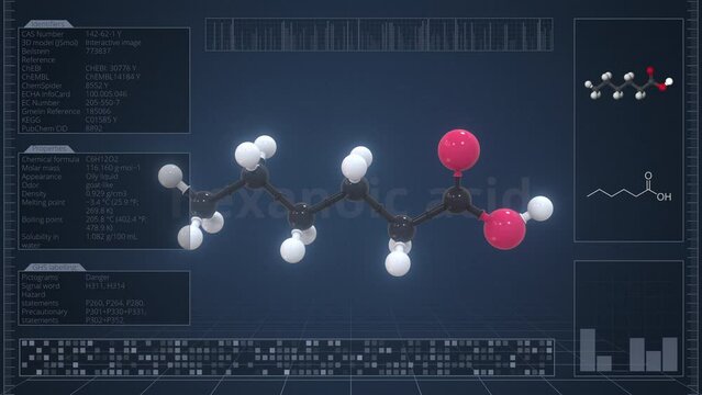 Molecule of hexanoic acid with infographics on the computer monitor, loopable 3d animation