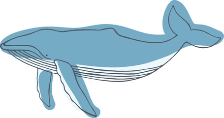 Whale Sketch Colored Hand Drawn Illustration © Good Studio