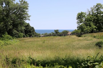 landscape with trees and water