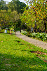 A beautiful garden in Islamabad, Pakistan 
