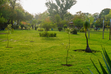 A beautiful garden in Islamabad, Pakistan 