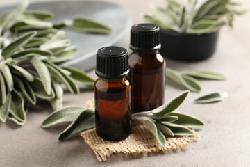 Bottles of essential sage oil, twigs and leaves on light grey table
