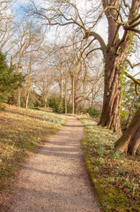 Obraz premium Springtime scenery in the UK.