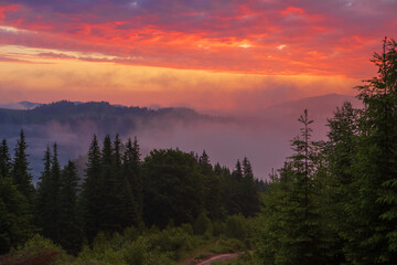 Obraz na płótnie Canvas Sunrise in the Eastern Carpathians. Ukraine.