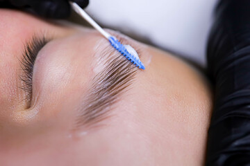 close-up of eyebrow hairs styled and combed with laminating compositions - obrazy, fototapety, plakaty