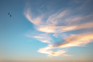 Lage hoekopname van twee vogels die tijdens zonsondergang op een bewolkte hemel vliegen