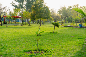 A beautiful garden in Islamabad, Pakistan 