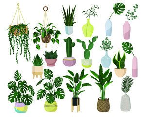 Vector set of house plants in pots and vases isolated on a white background. Monstera, eucalyptus, palm, cacti and other plants in a flat style, in Scandi style. Great for postcards, prints, stickers