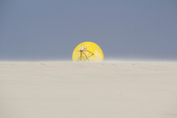 buoy abandon at the sand