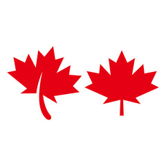 Maple leaf vector icon. Maple leaf vector illustration. Canada vector symbol	