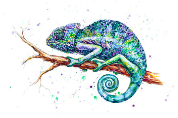 Charming chameleon on the branch isolated on white background. Watercolor painting  © O'SHI