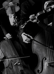Vertical shot of hands playing violins and cellos in grayscale © Borislav Brezo/Wirestock Creators