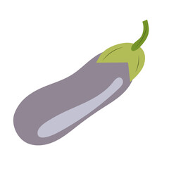 Purple eggplant. Single isolated element. Vector.