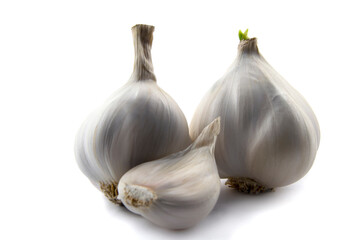 Garlic clove and bulb isolated on a white background.