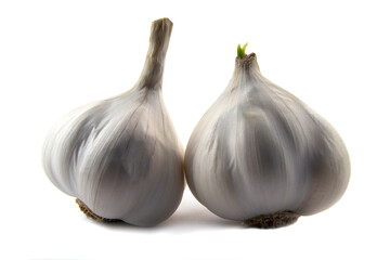 Fresh garlic isolated on a white background