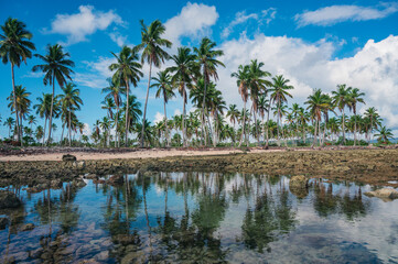 Fototapeta na wymiar Palm beach with water reflection in Dominican Republic