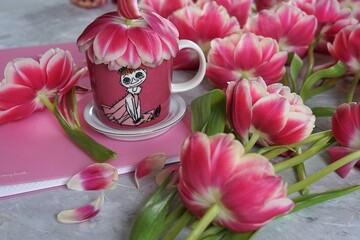 pink tulips on a table