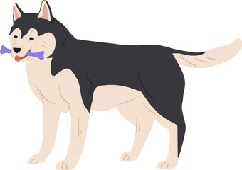Cute Australian Malamute Dog Illustration