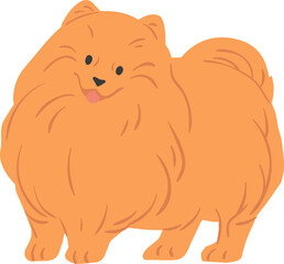 Portrait of Cute Pomeranian Spitz Illustration